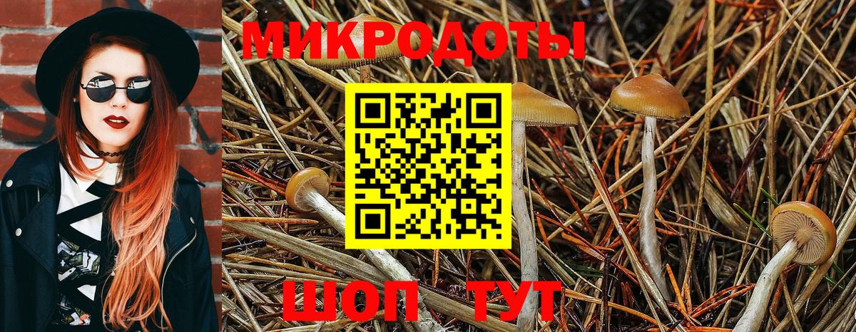 Галлюциногенные грибы прущие грибы  Вход с VPN  Югорск 